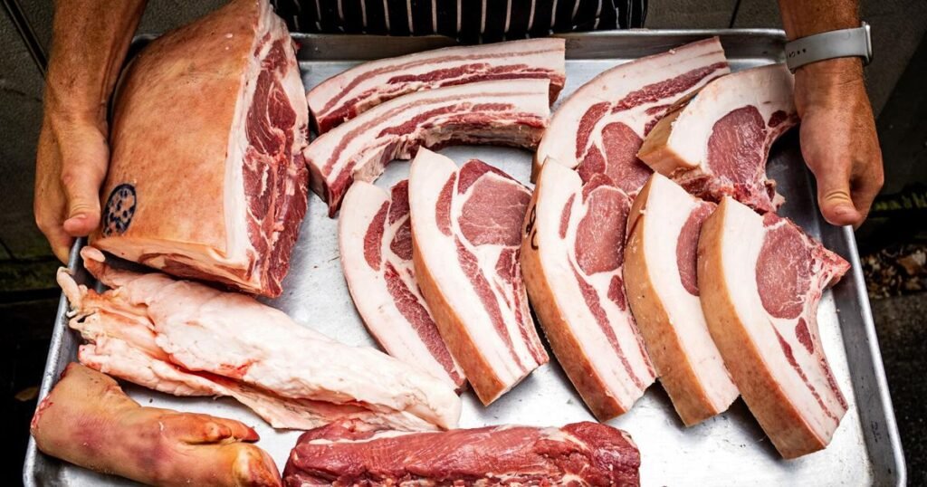 614276bbca81f.preview