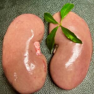 pork kidney