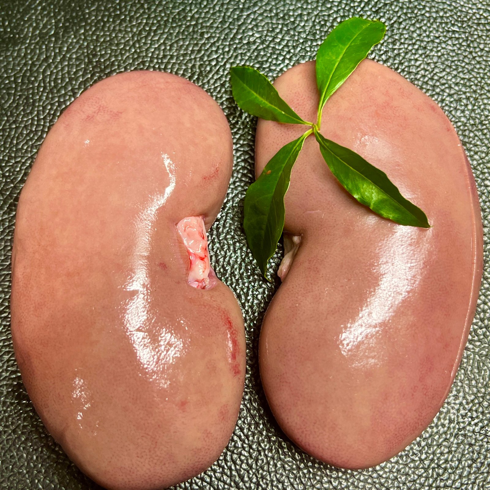 pork kidney pork kidney