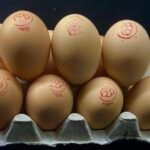 home desi eggs